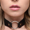 Collars & Leashes