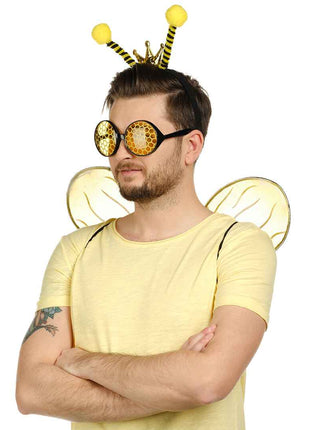 Bumble Bee Costume Kit With Glasses
