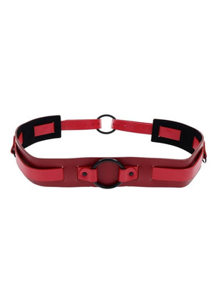 Sex & Mischief Ex's & Oh's Bound and Belted