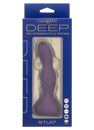Deep Stud Rechargeable Reverberating Probe