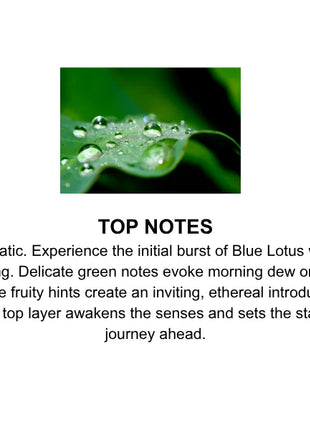 Sex Magnet Pheromone Body Spray Blue Lotus