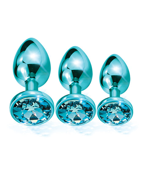 Nixie Jeweled Metal Butt Plug Trainer Set