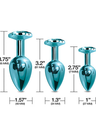 Nixie Jeweled Metal Butt Plug Trainer Set