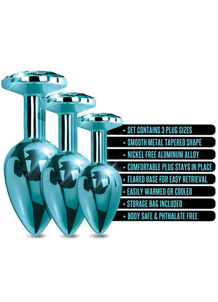 Nixie Jeweled Metal Butt Plug Trainer Set