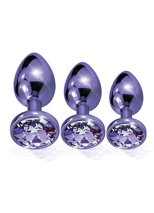 Nixie Jeweled Metal Butt Plug Trainer Set