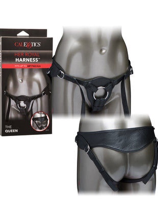 Her Royal Harness The Queen