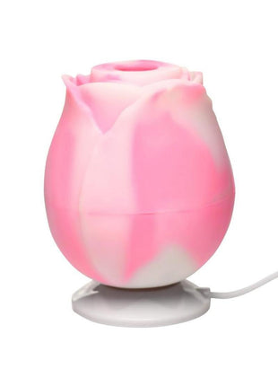 Bloomgasm The Rose Lovers Gift Box - Pink Swirl
