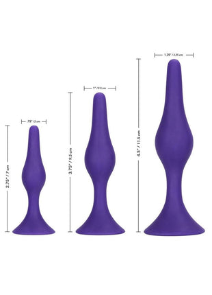 Booty Call Booty Trainer Starter Kit Silicone Anal Plugs 3 Assorted Sizes