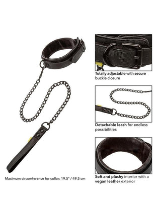 Boundless Collar and Leash