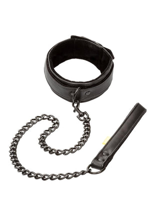 Boundless Collar and Leash - Black