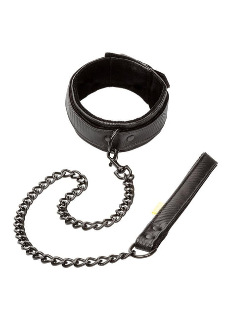 Boundless Collar and Leash - Black