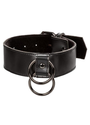 Euphoria Collection Collar with Chain Leash