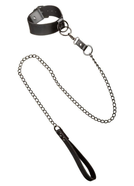 Euphoria Collection Collar with Chain Leash - Black