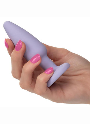 First Time Crystal Booty Kit Silicone Probes