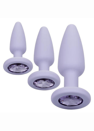 First Time Crystal Booty Kit Silicone Probes - Purple - 3 Piece