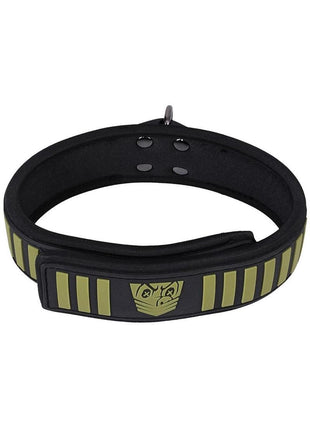 Fort Troff Tactical Collar and Leash