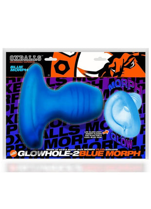 Glowhole 2 Hollow Buttplug with Led Insert - Large - Blue Morph - Blue - Large