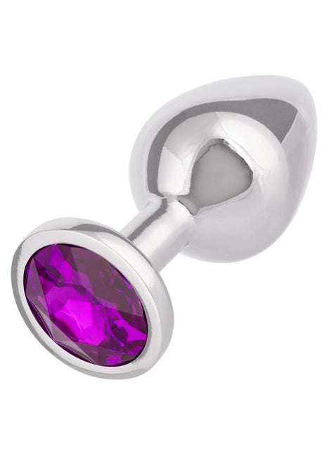 Jewel Amethyst Aluminum Anal Plug - Metal/Purple - Large