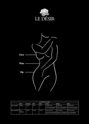 Le Desir Contrast Suspender Bodystocking