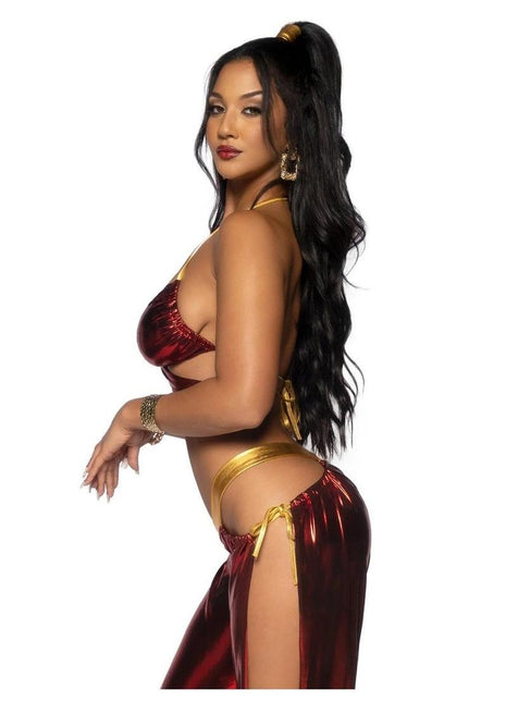 Leg Avenue Ruby Desert Princess Lame Bikini Top and Split Leg Cut-Out Harem Pants with Side Ties - Red - Medium - 2 Piece