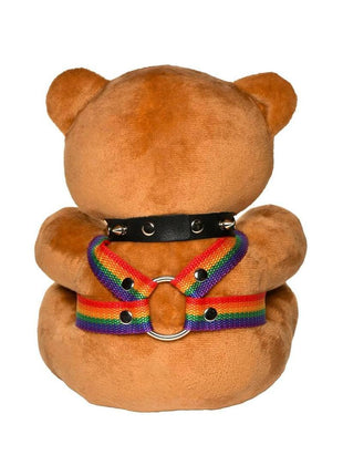 Master Series Pride Bear