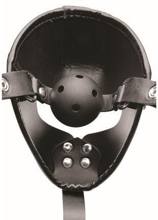 Master Series Pup Puppy Play Hood + Breathable Ball Gag