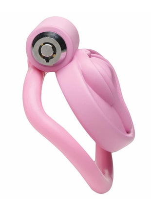 Master Series Pussification Vulva Chastity Cage