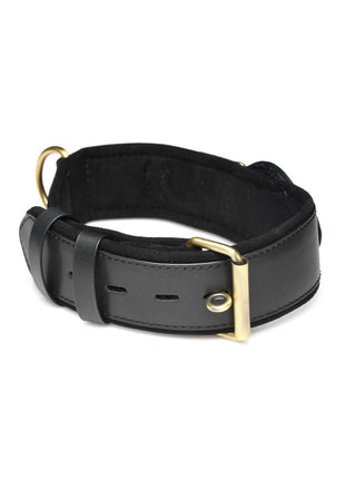 Master Series Tracer Tracking Collar