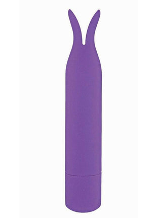 Mini's Arousal Rechargeable Mini Vibrator