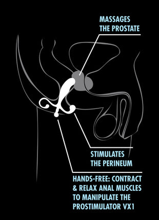 Anal Adventures - Prostate Stimulator