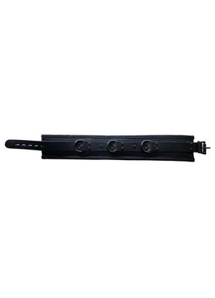 Padded Leather Collar