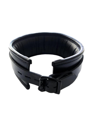 Padded Leather Collar