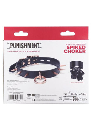 Punishment Spiked Choker