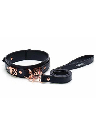 Punishment Yes Sir Collar/Leash - Rose Gold
