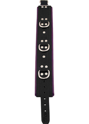 Rouge 3 D-Ring Padded Leather Adjustable Collar - Black/Purple