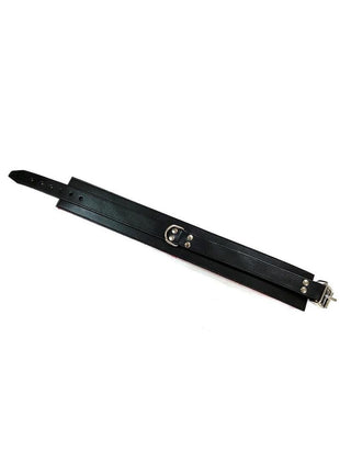 Rouge Leather Collar with Faux Fur Lining - Black/Red
