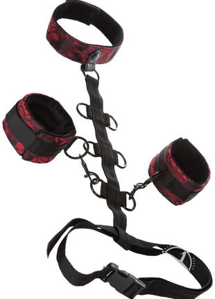 Scandal Collar Body Restraint - Black/Red