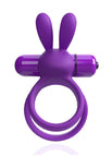 Grape/Purple / XL
