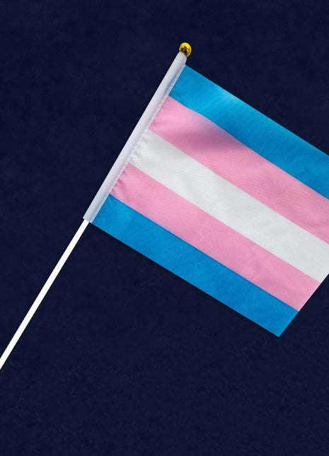 Trans Pride Flag