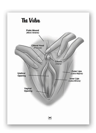 The Mystery Of The Undercover Clitoris Book By Dr. Sadie Allison