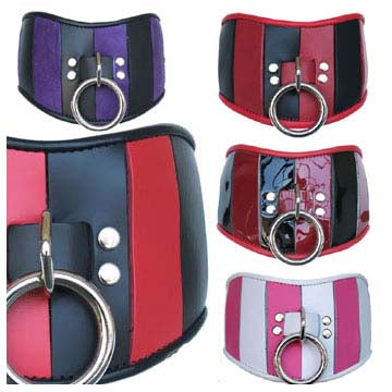 Two Tone Posture collar