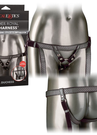 Her Royal Harness The Regal Duchess - Assorted Colors