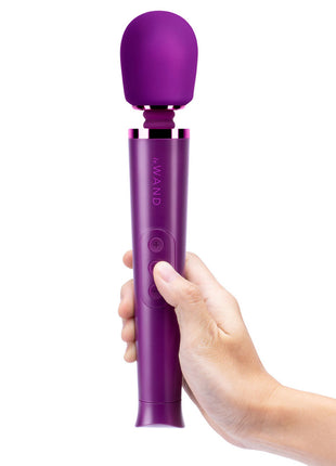 Le Wand Petite Massage Wand