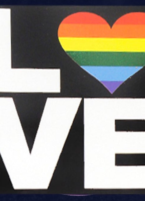 LGBTQ+ Pride Sticker - Asst Styles