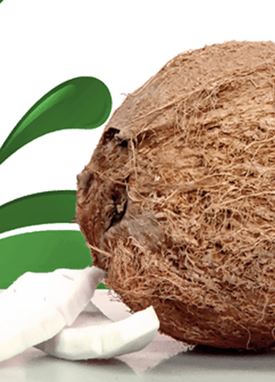coconut oil