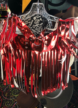 Daisy 2 PC Red Metallic Harness & Skirt